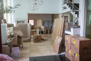 Cotação mudança interestadual